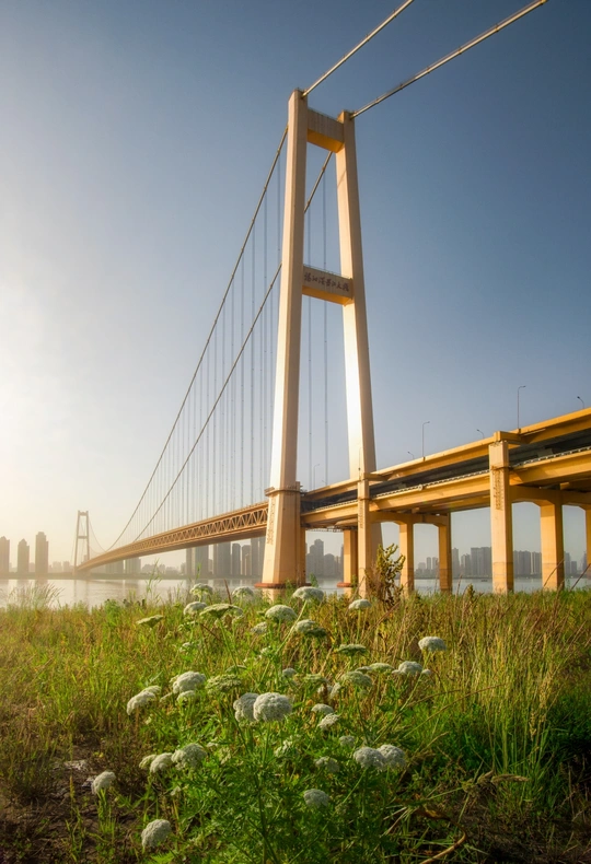 河上的草桥和背景中的城市