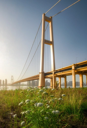 河上的草桥和背景中的城市