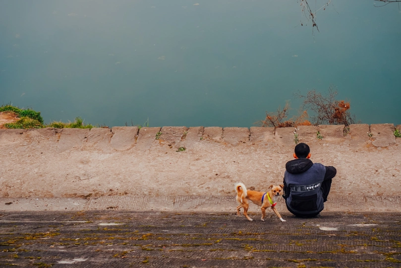 一个男子坐在墙上 旁边有只狗在散步 眺望着一片水域。