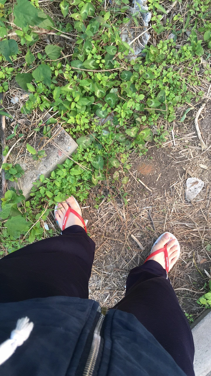 冬日里的拖鞋