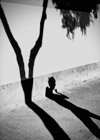 一个年轻男子坐在滑板上的黑白剪影 旁边是街道和一棵树。