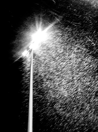 雪中 一盏黑白相间的街灯照亮了路灯杆。