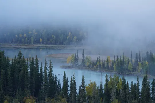 群山中的一个朦胧的早晨 前景有一条河和一些树。