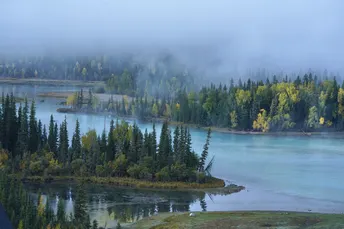 河上的树和岛屿的图片
