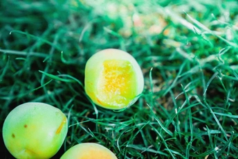 一个绿色的苹果和一个黄色的鸡蛋在地上