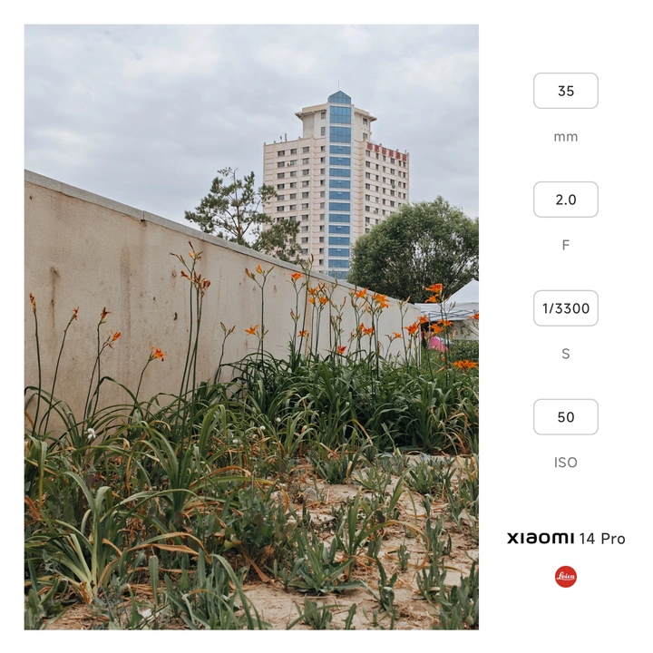 小米日记：2025.06.20