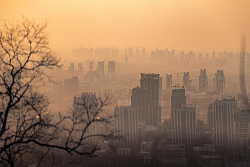 太阳穿过城市的雾气 前景中有建筑物和树木。