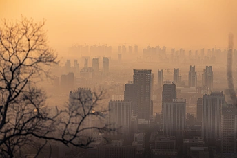 太阳穿过城市的雾气 前景中有建筑物和树木。