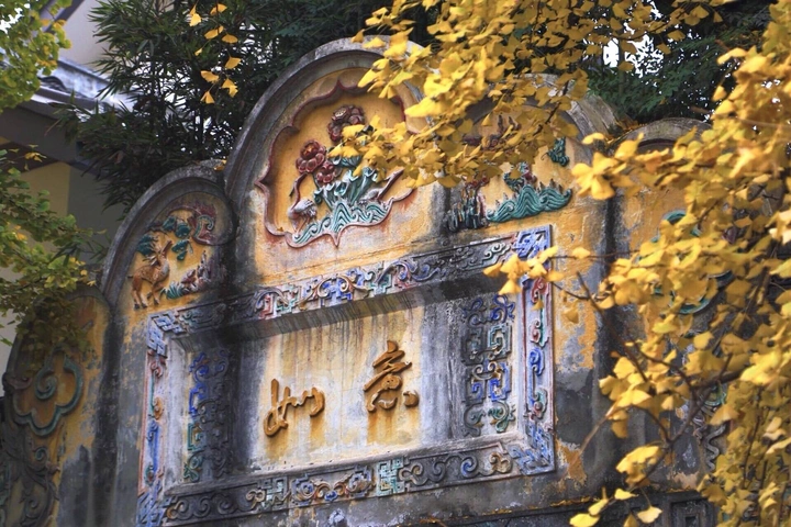 秋天要过去了吗？