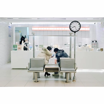 人们在办公室桌子旁