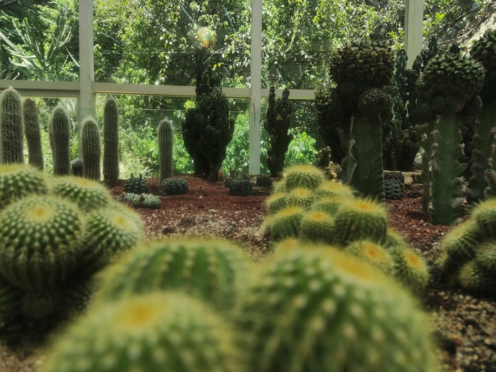 厦门｜植物园