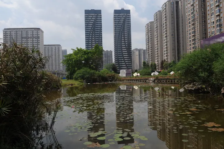 李文全随拍：涟漪修饰，临窗的都