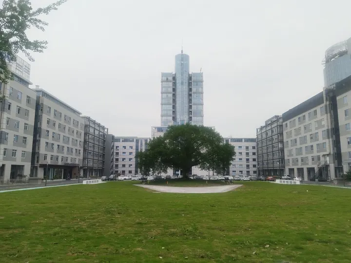 李文全随拍：树荫待发，那蝉鸣是不是等待的一部分
