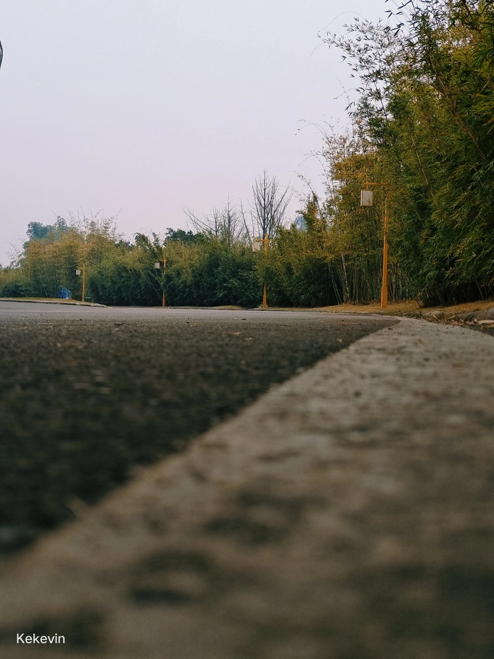 道路