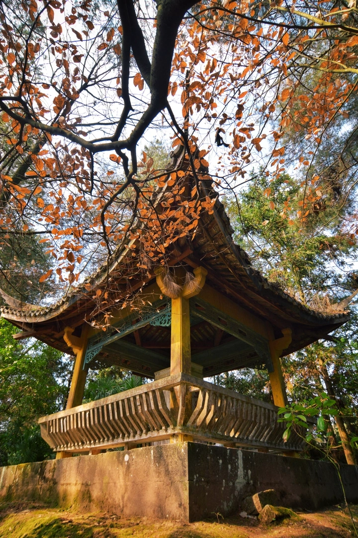 林深不知处