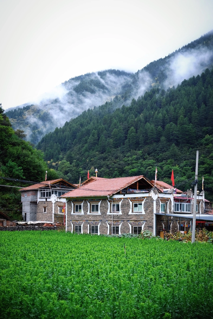理县猛古村