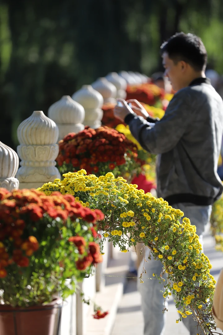 花心