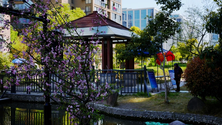 小区随拍