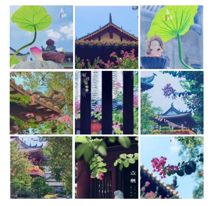 紫薇禅音