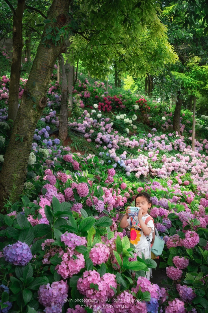 繁花盛景