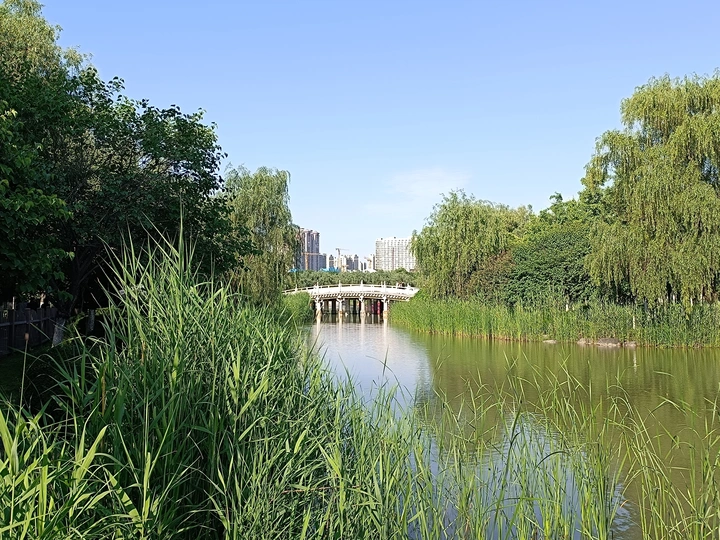 大明宫美景分享