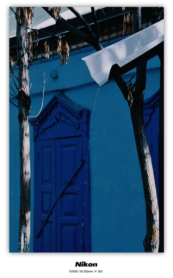 蓝色建筑 白色门 一棵树