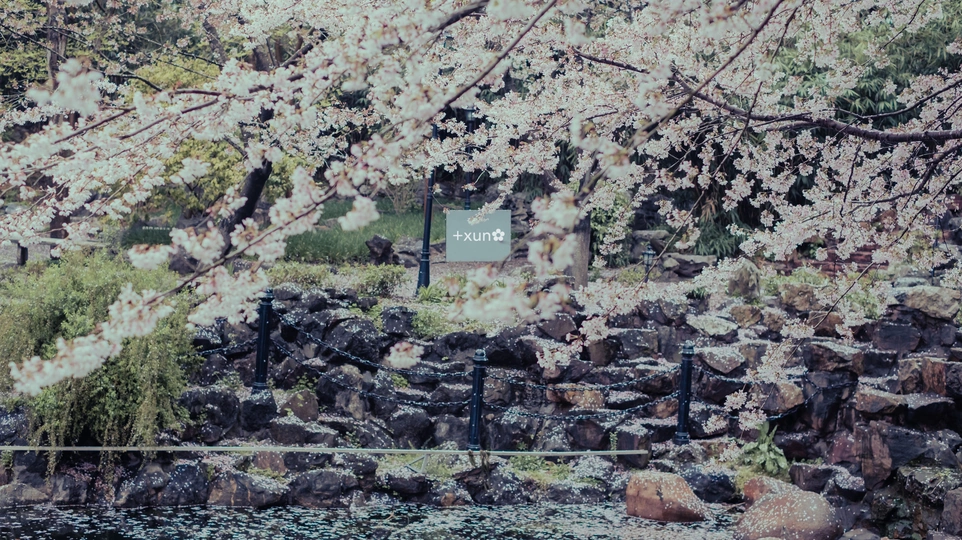 标志立在几块岩石和花旁边