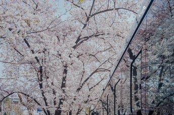 一张街道上有行人走人行道的图片