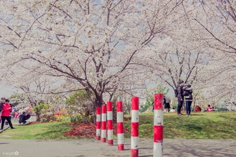 一个公园 有红白相间的杆子和人们在街上走。