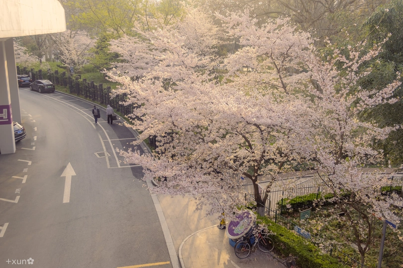 一条街道上有汽车和一辆自行车。