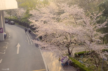 一条街道上有汽车和一辆自行车。