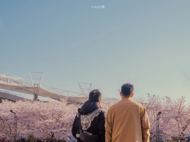 一个男子和一个女子站在公园的长椅上 樱花飘落在地 风筝在天空中飞翔。