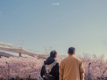 一个男子和一个女子站在公园的长椅上 樱花飘落在地 风筝在天空中飞翔。