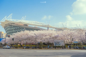 一个有树木和粉红色花朵的街道和一个体育场