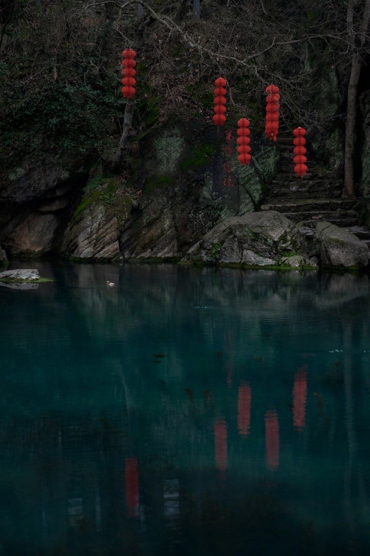鸭在水中游