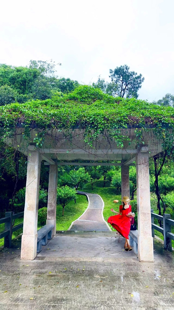 凉亭美景