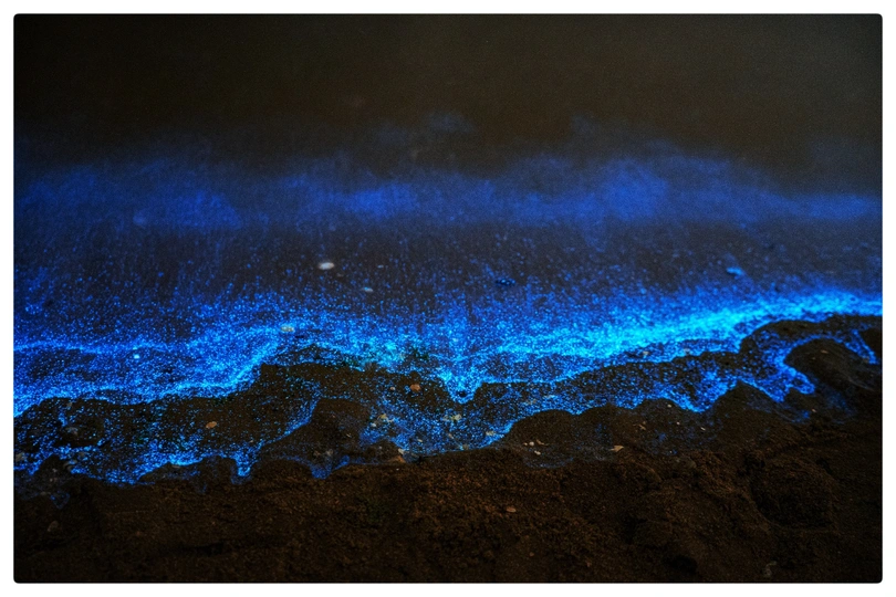 夜晚的海洋 水中有蓝色的光芒