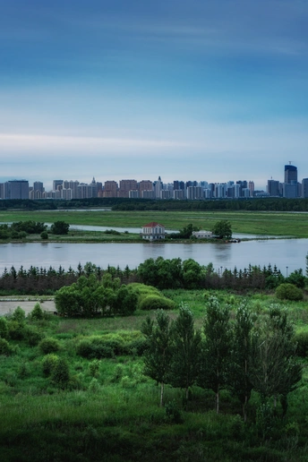 河边的绿草地 背景是天际线