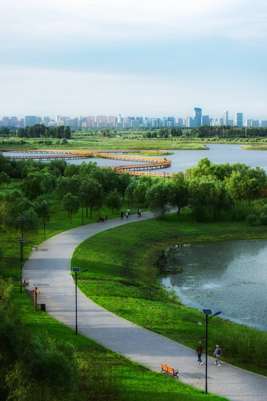 绿色公园 有路径、长凳和水体 背景是城市。