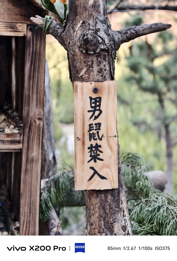 就在大连我拍到了小松鼠别墅区❗