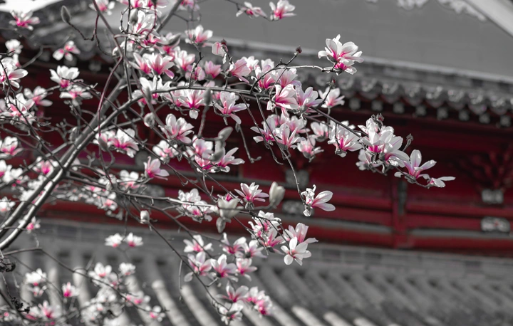 长春观