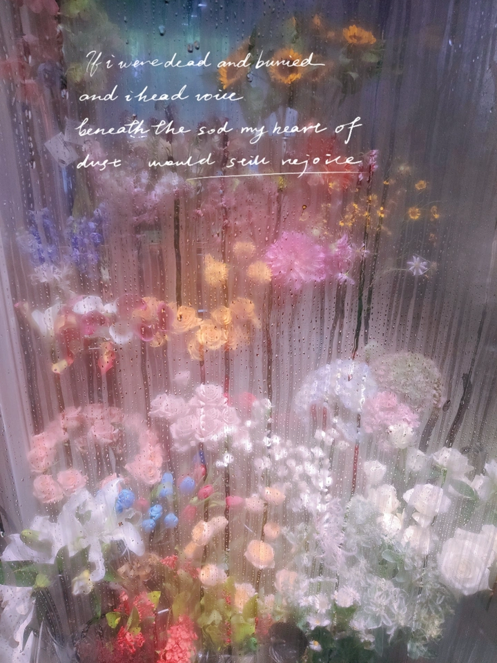 温室之花