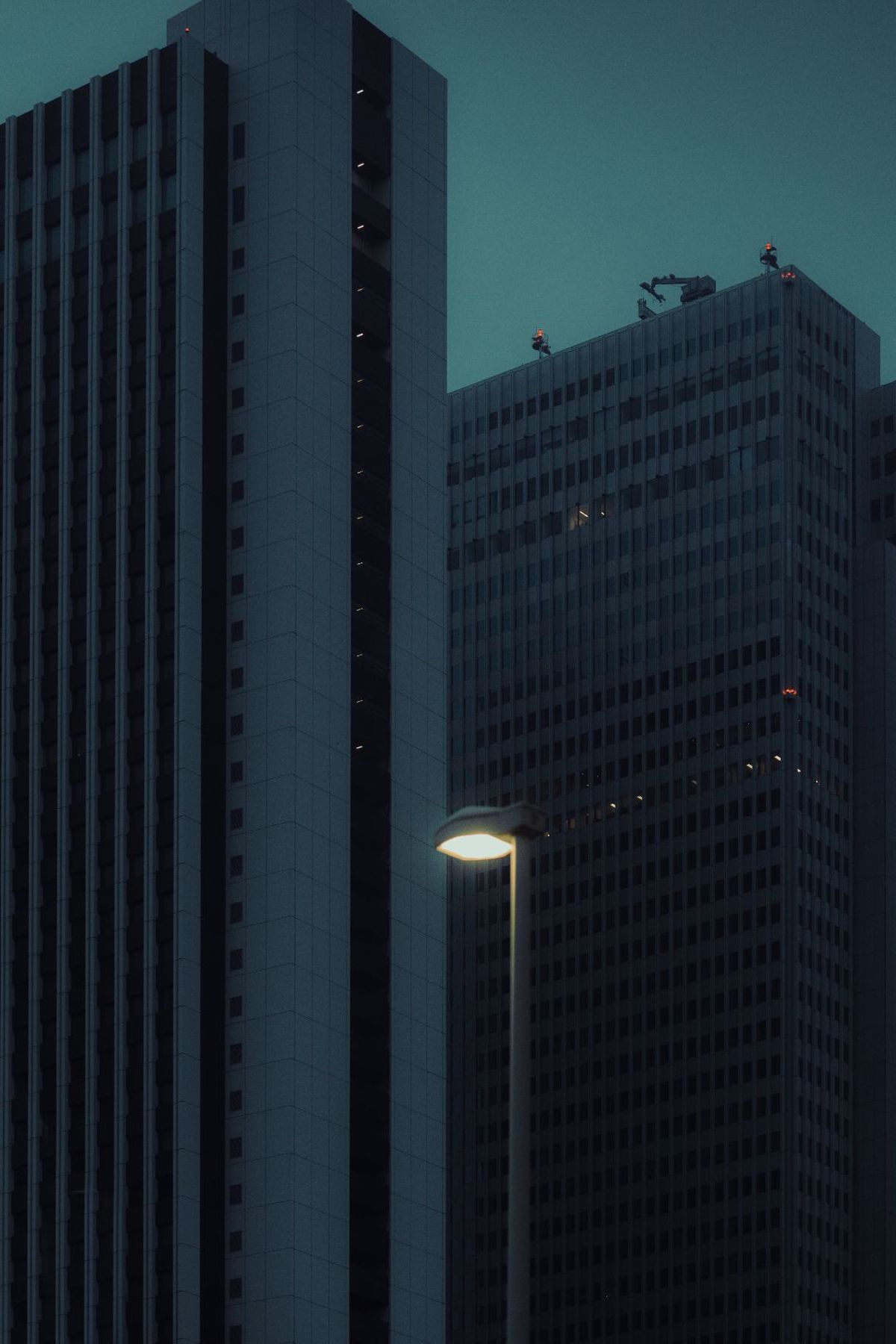 夜晚的城市 高大的建筑 路灯上有一只鸟。