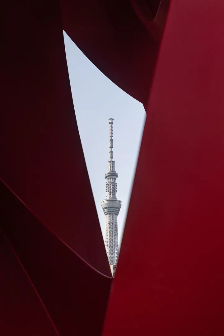 晴空树