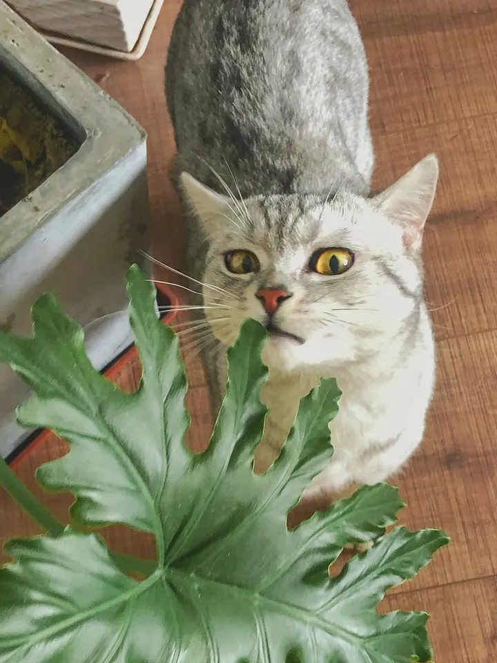 我很凶的！