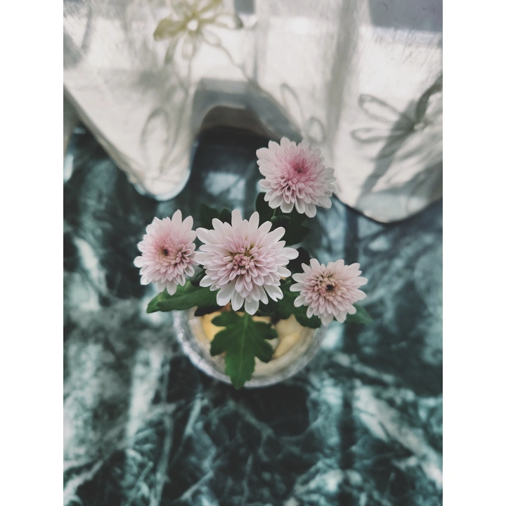 一握花