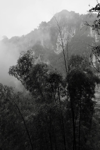 黑白相间的雾气、雾、树木、河流和山脉