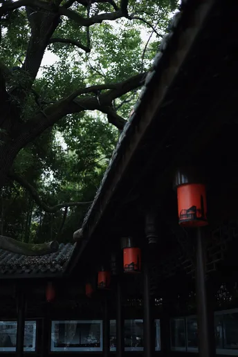 红灯笼挂在一栋建筑物的屋顶上