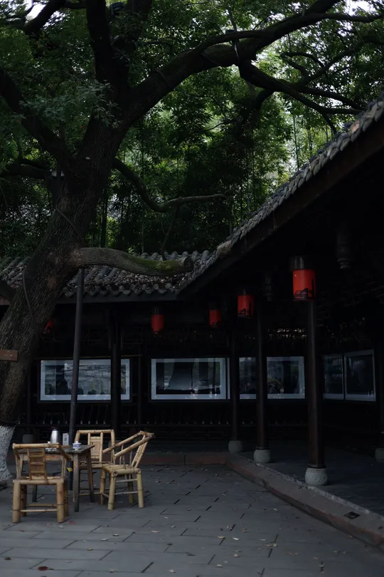 一张木桌子 椅子 坐在一棵大树下