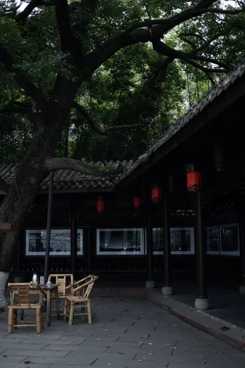 一张木桌子 椅子 坐在一棵大树下